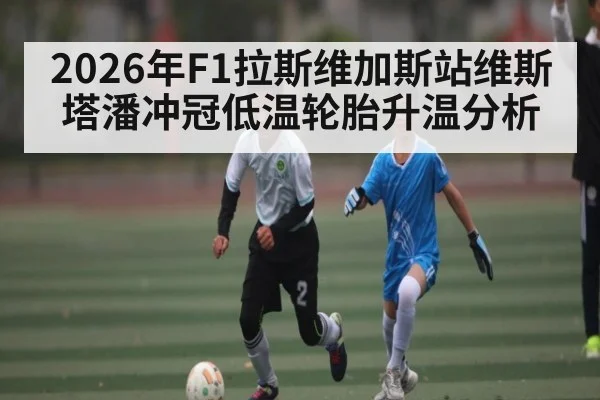 2026年F1拉斯维加斯站维斯塔潘冲冠低温轮胎升温分析 - kaiyun